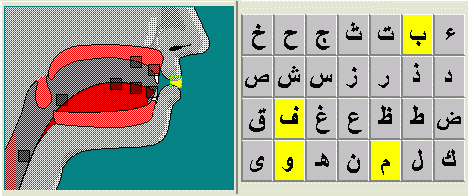 syafawiyah map